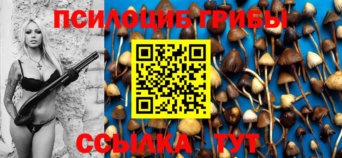Псилоцибиновые грибы Psilocybe Наро-Фоминск