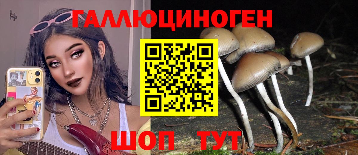 Галлюциногенные грибы MAGIC MUSHROOMS  Вход с VPN  Наро-Фоминск 
